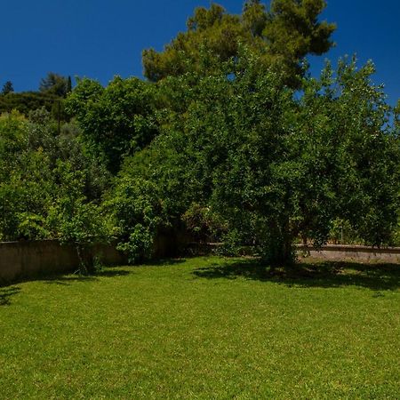 Villa Lygia Lygia  Buitenkant foto